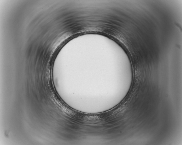 X0000102511119200808291728