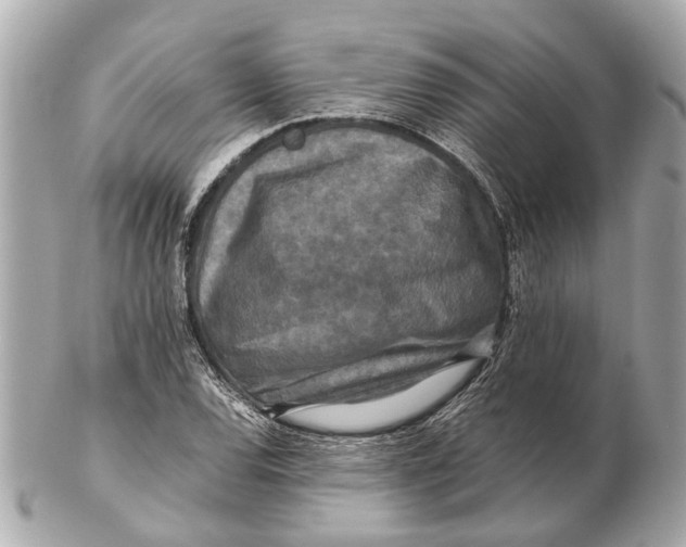 X0000102511120200808291728