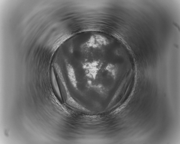 X0000102511121200808291728