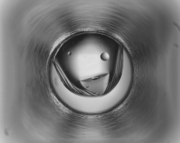 X0000102511122200808291728