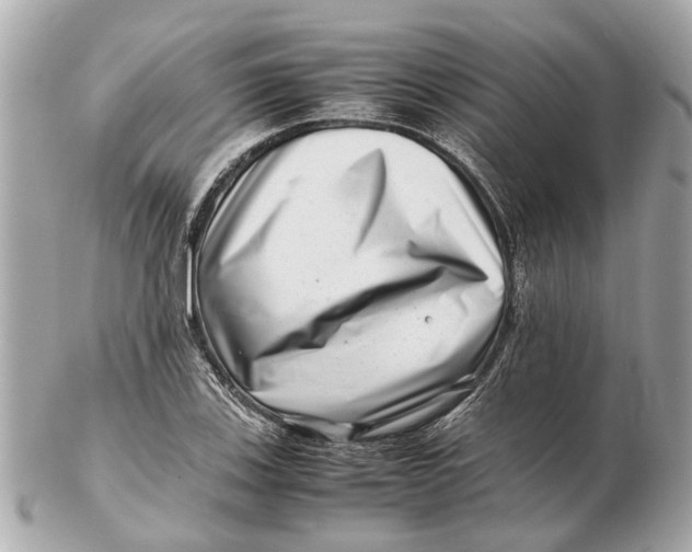 X0000102511123200808291728