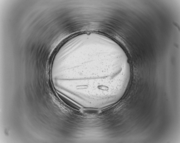 X0000102511124200808291728