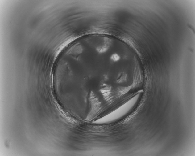 X0000102511125200808291728