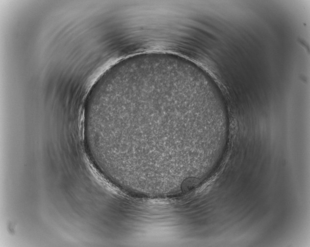 X0000102511126200808291728