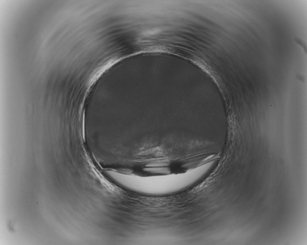 X0000102511127200808291728