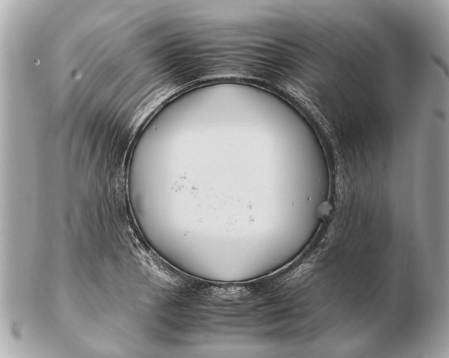 X0000102511129200808291728
