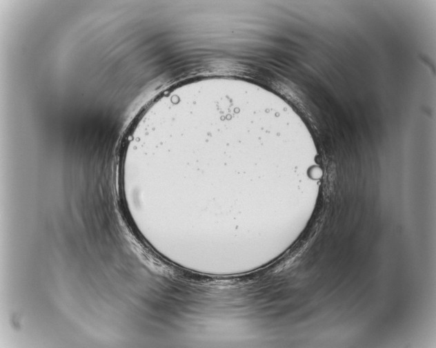 X0000102511130200808291728