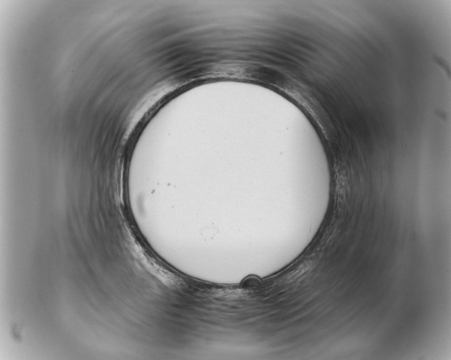 X0000102511131200808291728
