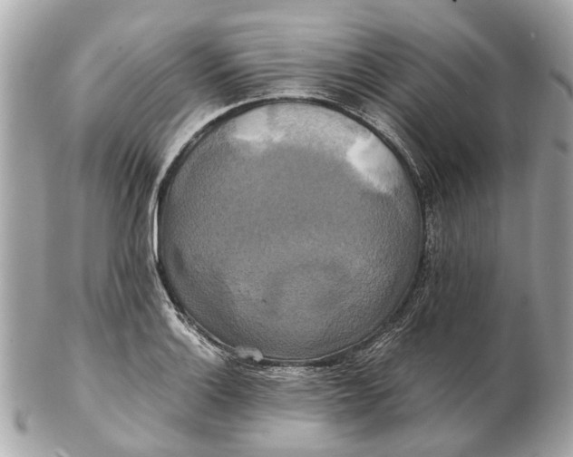 X0000102511132200808291728