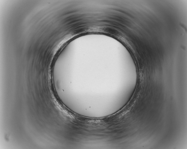 X0000102511133200808291728