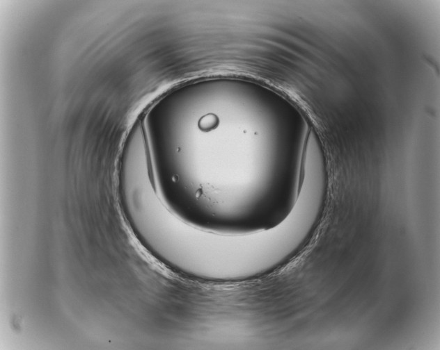 X0000102511134200808291728