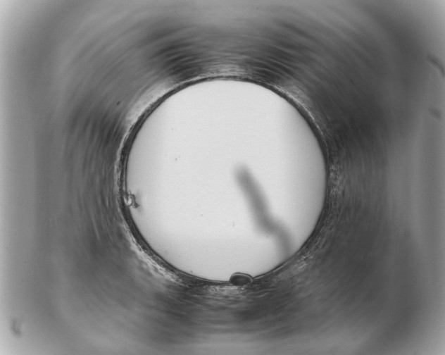 X0000102511135200808291728