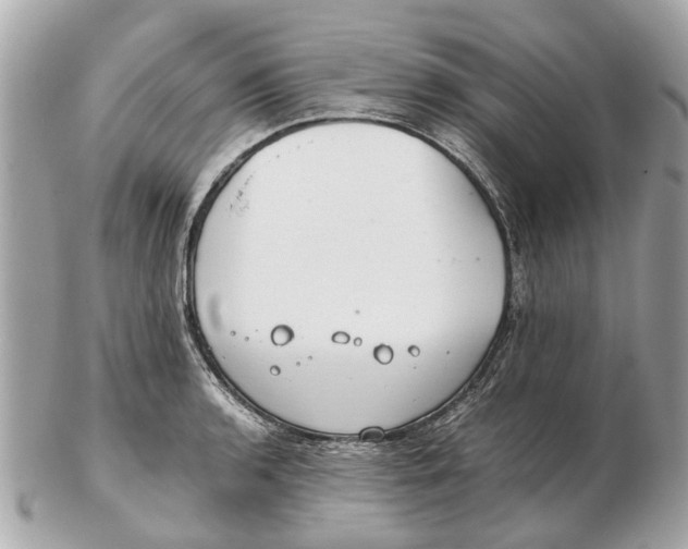X0000102511136200808291728
