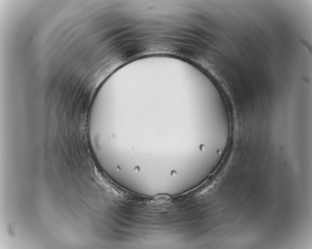 X0000102511137200808291728