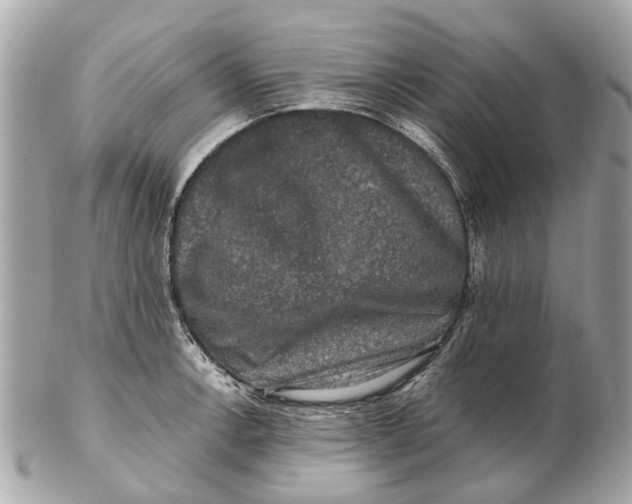 X0000102511138200808291728