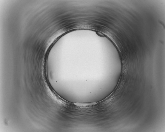 X0000102511139200808291728
