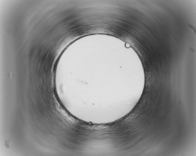 X0000102511140200808291728