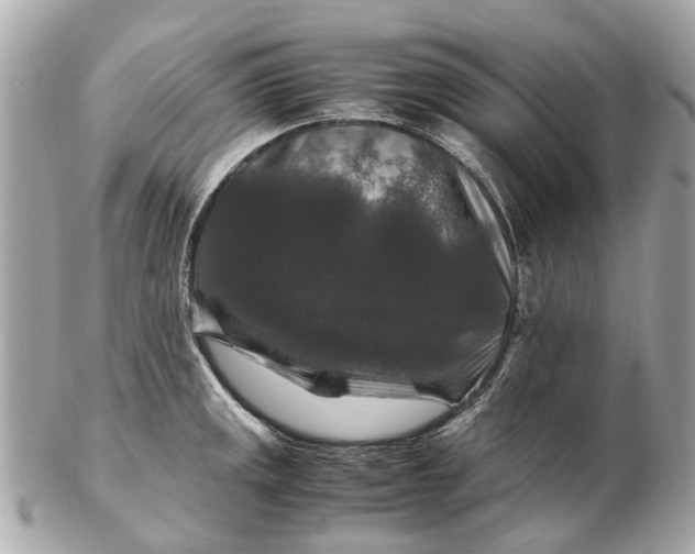 X0000102511141200808291728