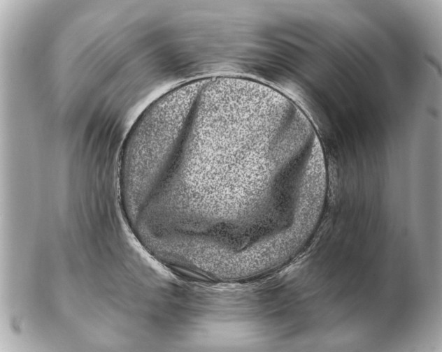 X0000102511142200808291728