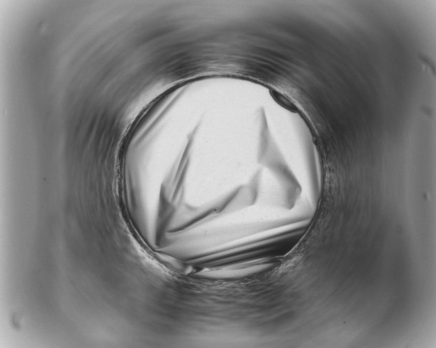 X0000102511143200808291728