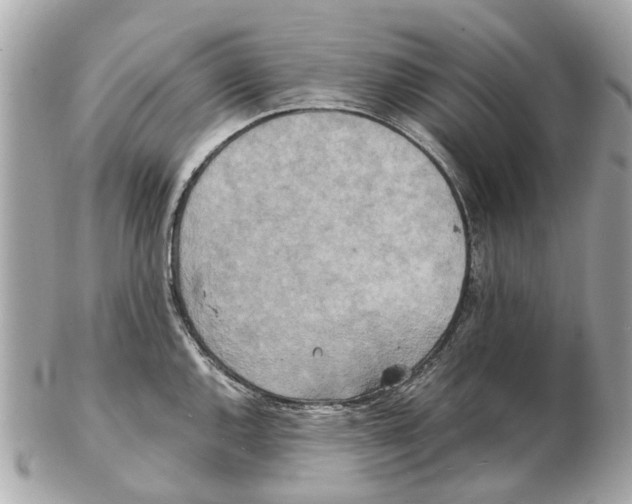 X0000102511144200808291728