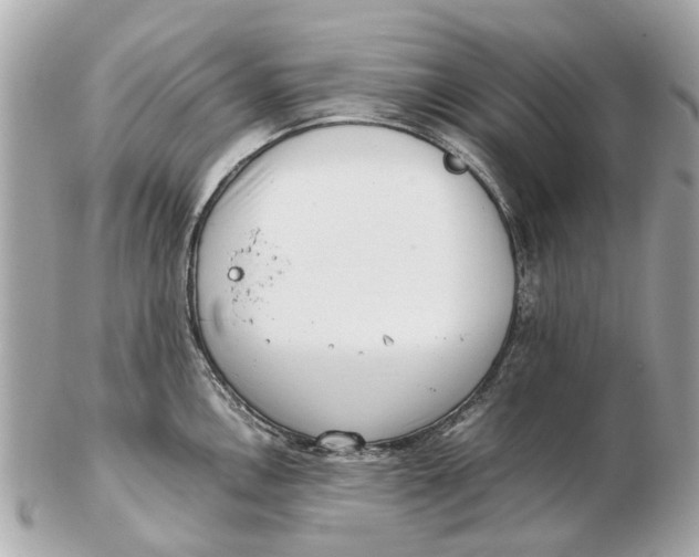 X0000102511146200808291728