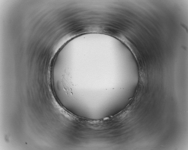 X0000102511147200808291728