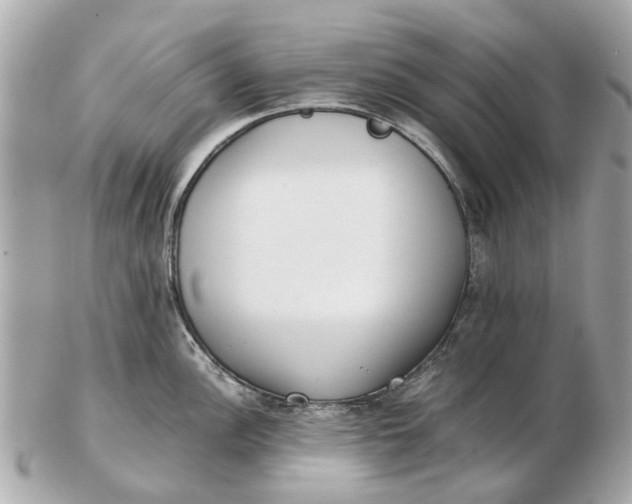 X0000102511148200808291728