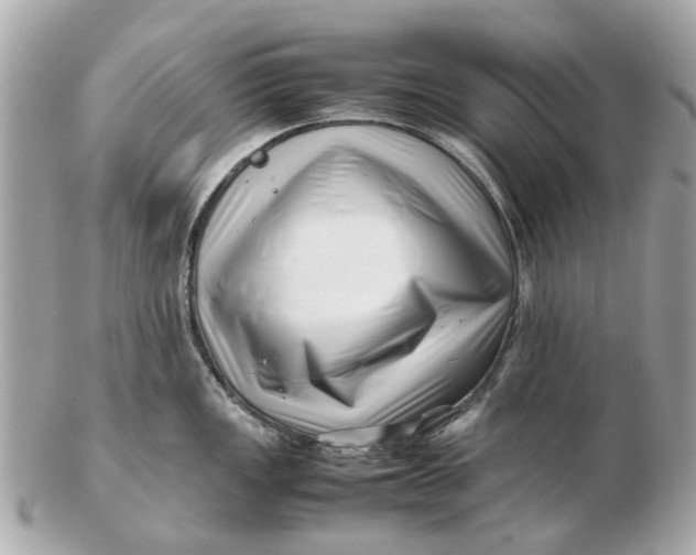 X0000102511149200808291728