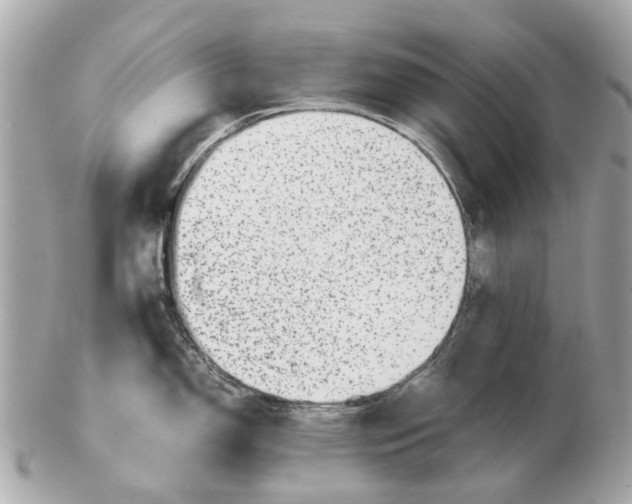 X0000102511150200808291728