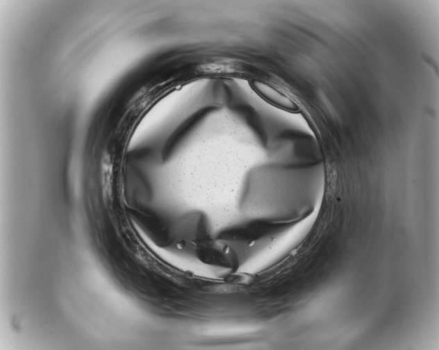X0000102511151200808291728