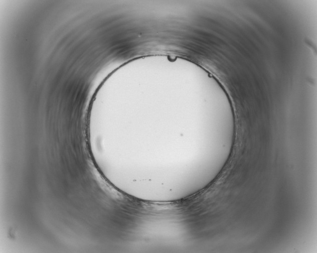 X0000102511152200808291728