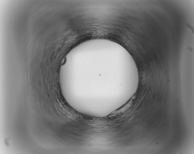 X0000102511153200808291728