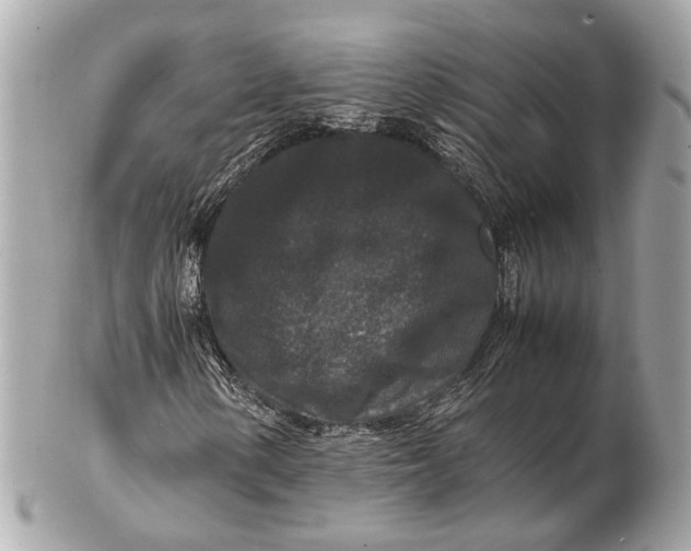 X0000102511154200808291728