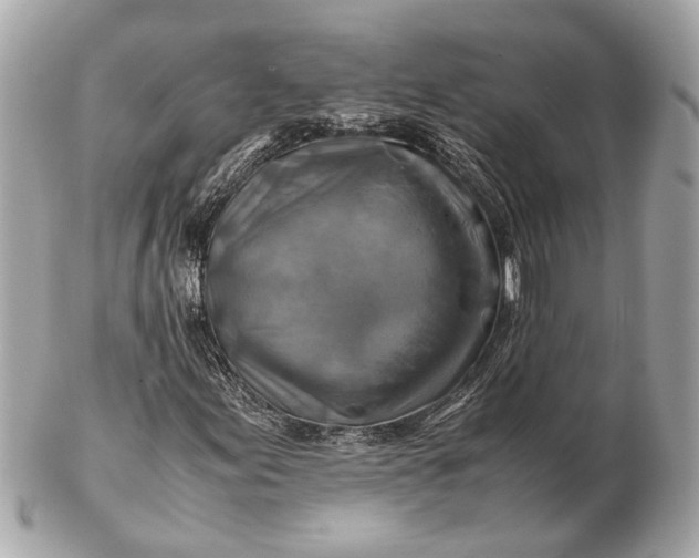 X0000102511155200808291728