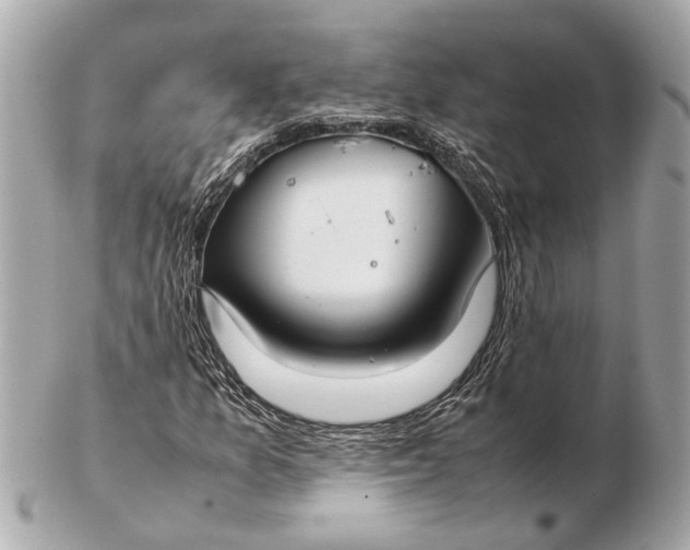 X0000102511157200808291727