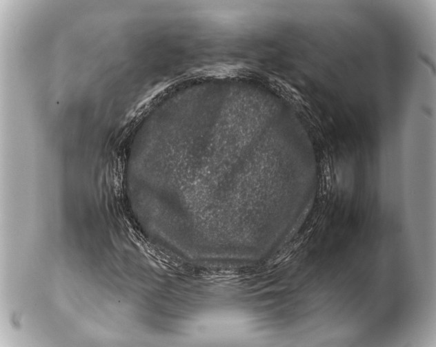 X0000102511158200808291727