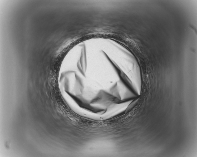 X0000102511159200808291727