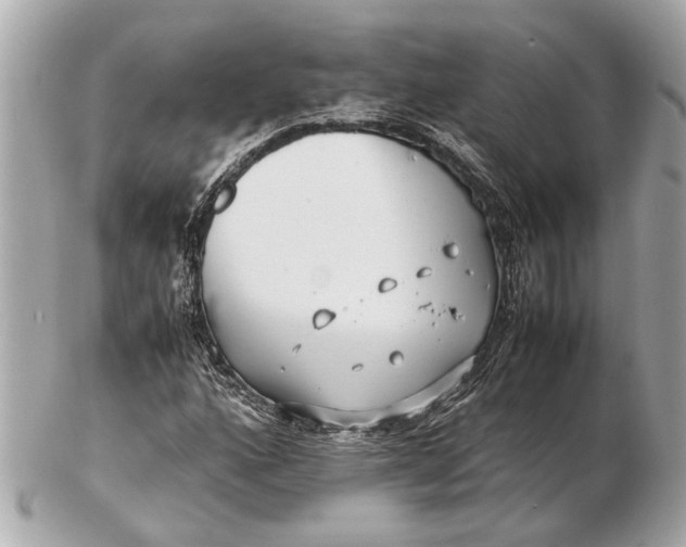 X0000102511160200808291727