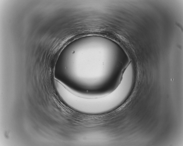 X0000102511161200808291727