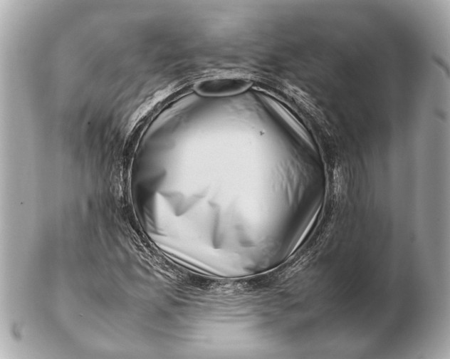 X0000102511165200808291727
