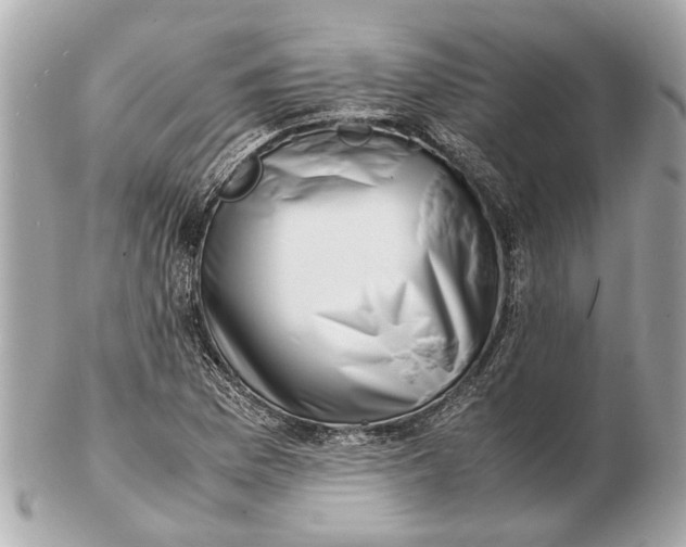 X0000102511169200808291727