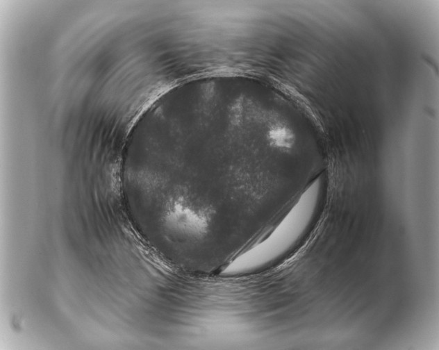 X0000102511170200808291727
