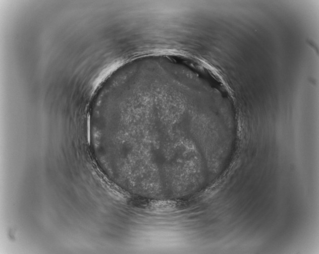X0000102511171200808291727