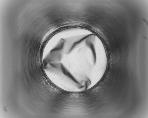 X0000102511172200808291727