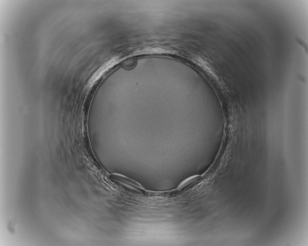 X0000102511173200808291727