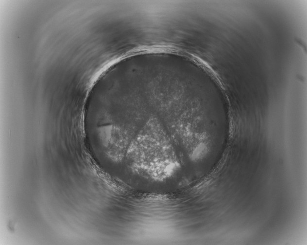 X0000102511174200808291727