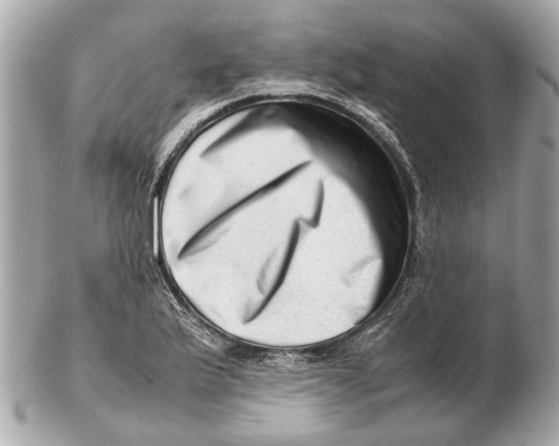 X0000102511175200808291727