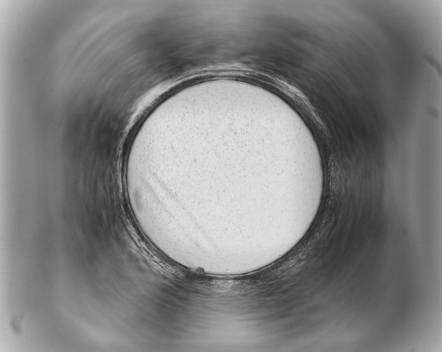 X0000102511176200808291727