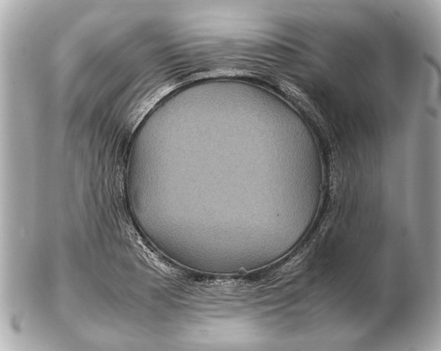 X0000102511177200808291727